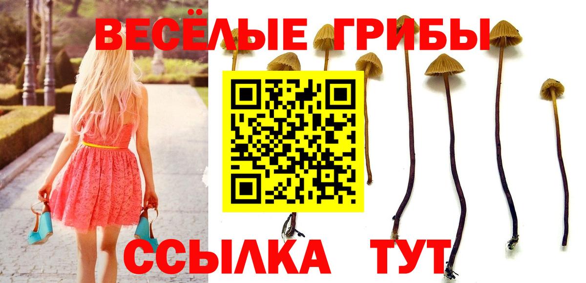 Борисоглебск  купить  сайты  Вход с VPN  Галлюциногенные грибы MAGIC MUSHROOMS 